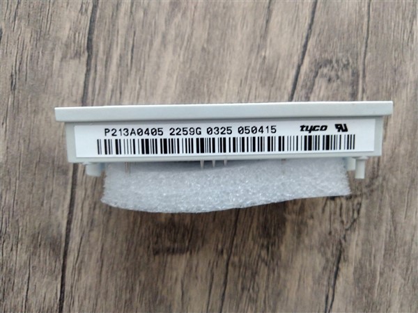 P213A0405