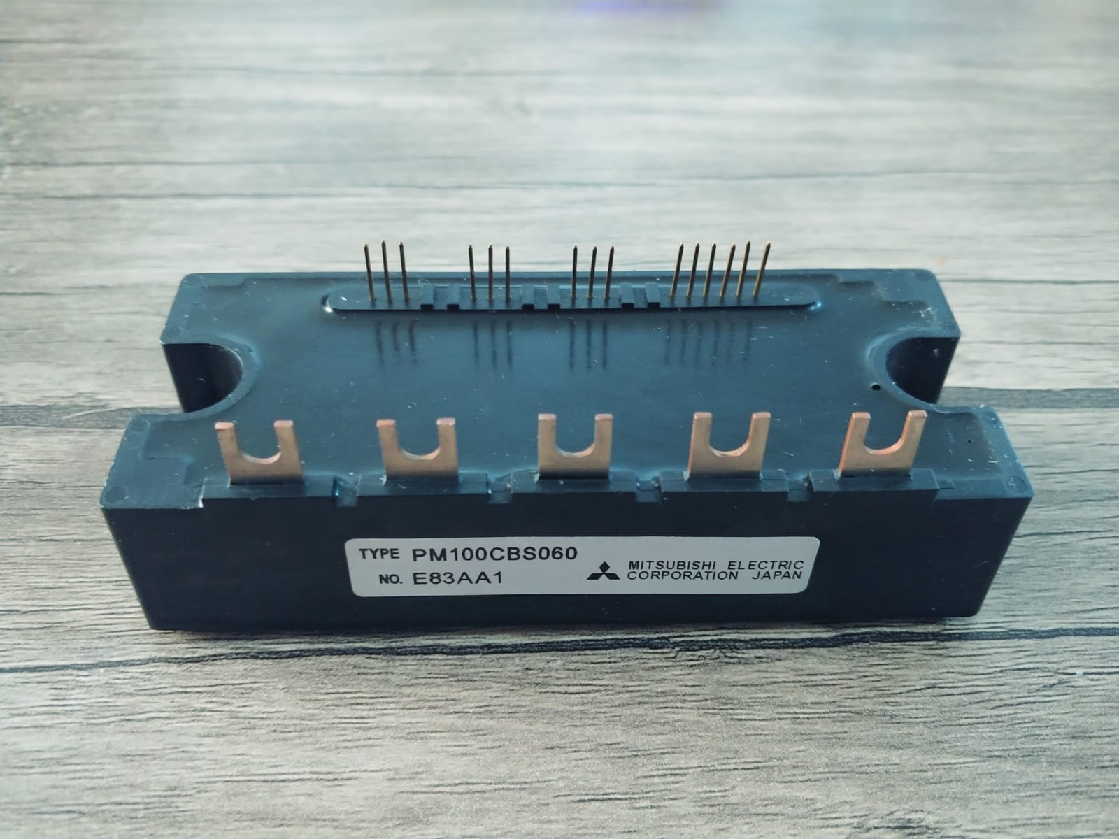 PM100CBS060