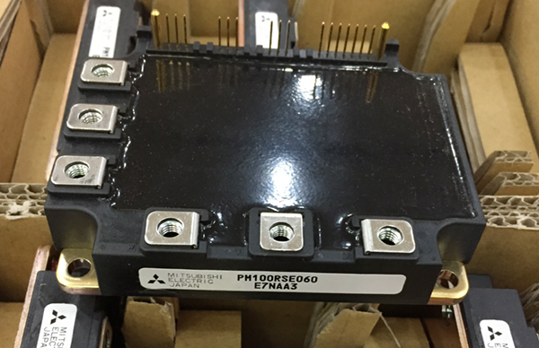 PM100RSE060