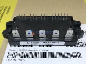 PM30CTJ060-3