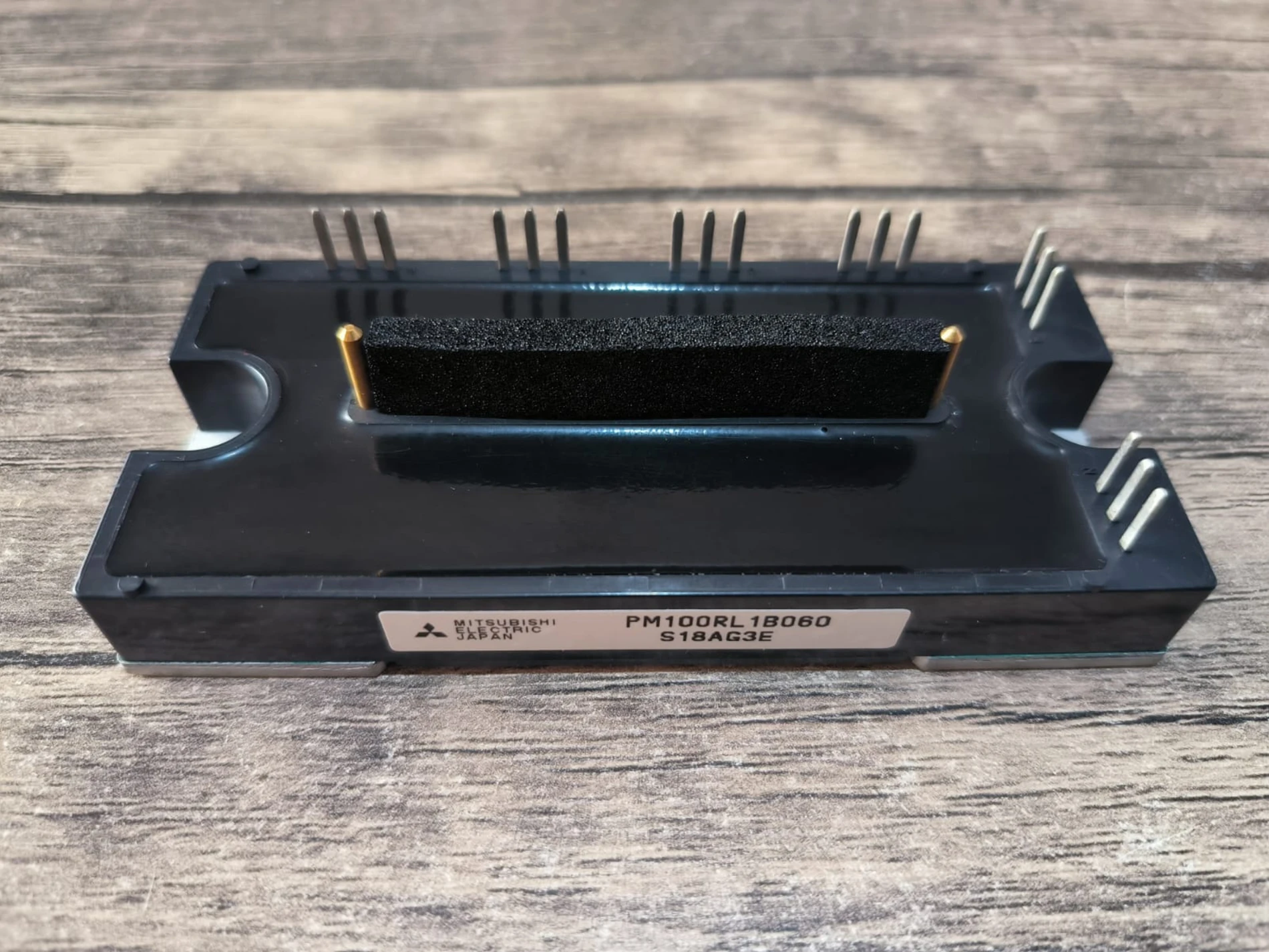 PM100RL1B060